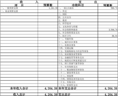 2012珠海市人力资源和社会保障局财务状况P20130116