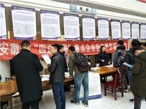 优化就业服务 助力企业发展 信息公开 淮南市人民政府